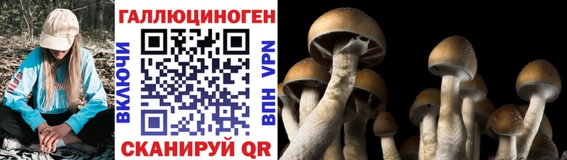 Галлюциногенные грибы GOLDEN TEACHER  Купить где  Горбатов 